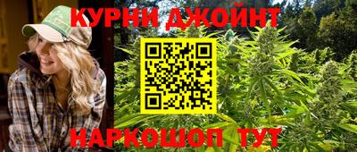 гашик Жуковский