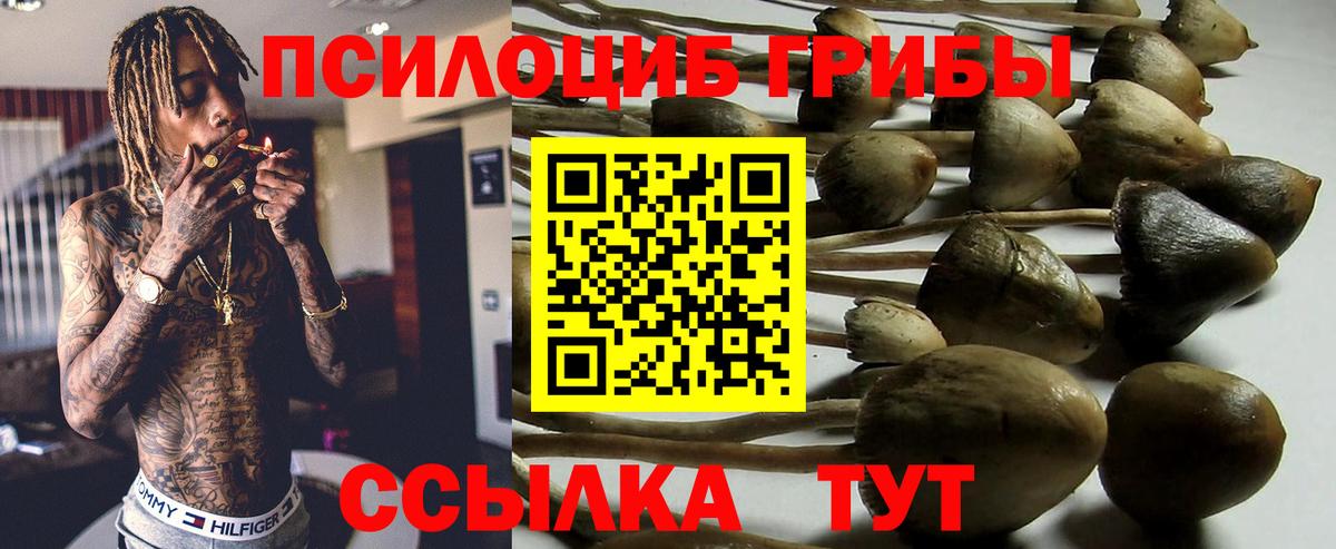 Галлюциногенные грибы GOLDEN TEACHER Прохладный